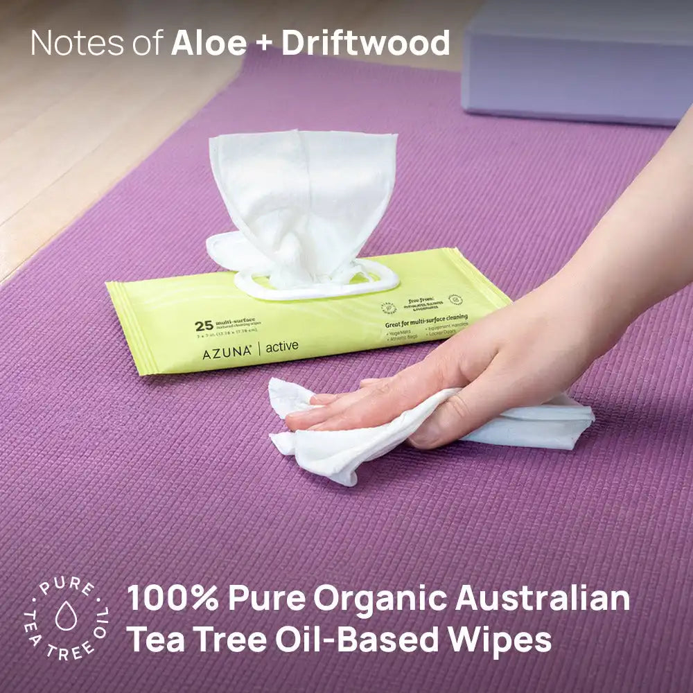 Active Multi-Surface Cleaning Wipes Trio