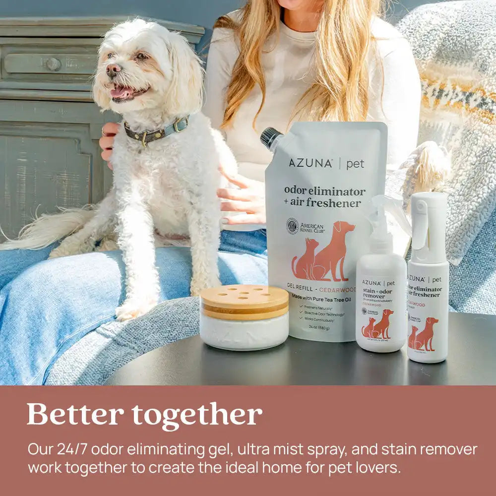 Pet Odor Eliminator + Air Freshener Ultra Mist Spray