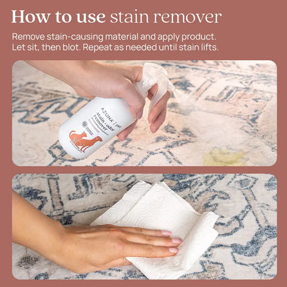 Pet Odor Eliminator & Stain Remover Premium Kit
