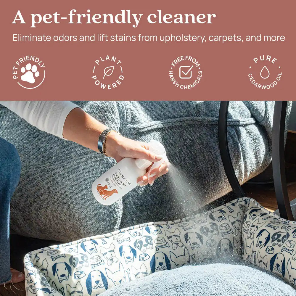 Pet Odor Eliminator & Stain Remover Premium Kit